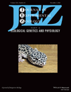 JEZ cover 2