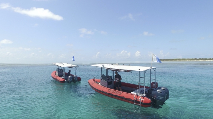 Drone Heron Island